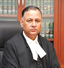 Justice V. K. Shali